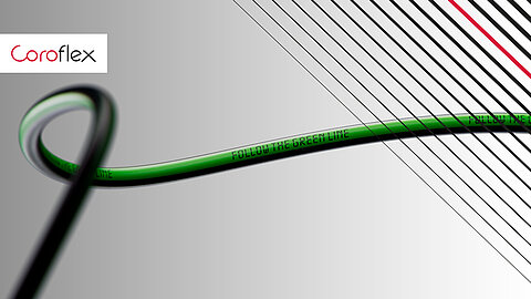 Follow the green line: discover our new products.